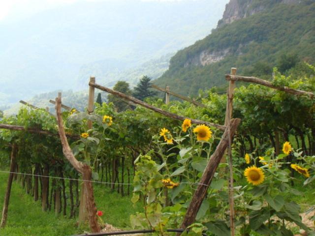 Agritur Maso Spezial Villa Villa Lagarina Oda fotoğraf