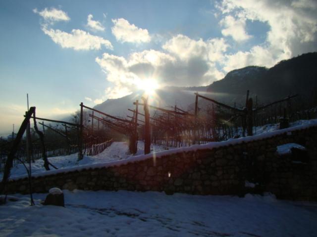Agritur Maso Spezial Villa Villa Lagarina Dış mekan fotoğraf