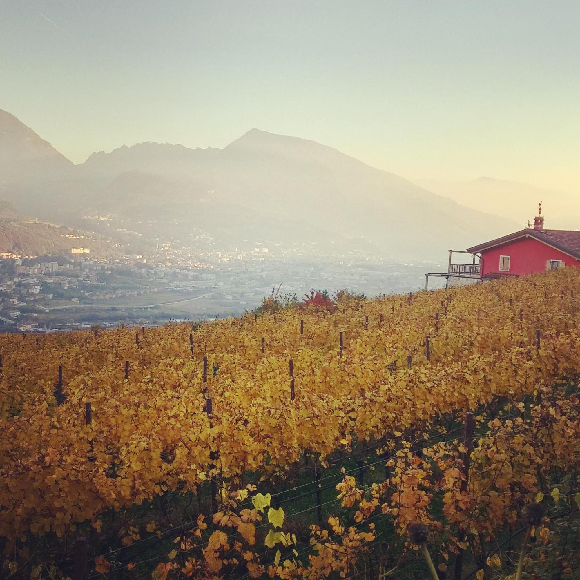 Agritur Maso Spezial Villa Villa Lagarina Dış mekan fotoğraf