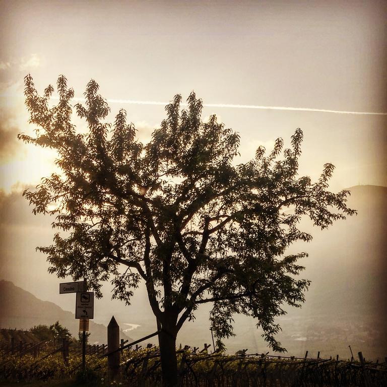 Agritur Maso Spezial Villa Villa Lagarina Dış mekan fotoğraf