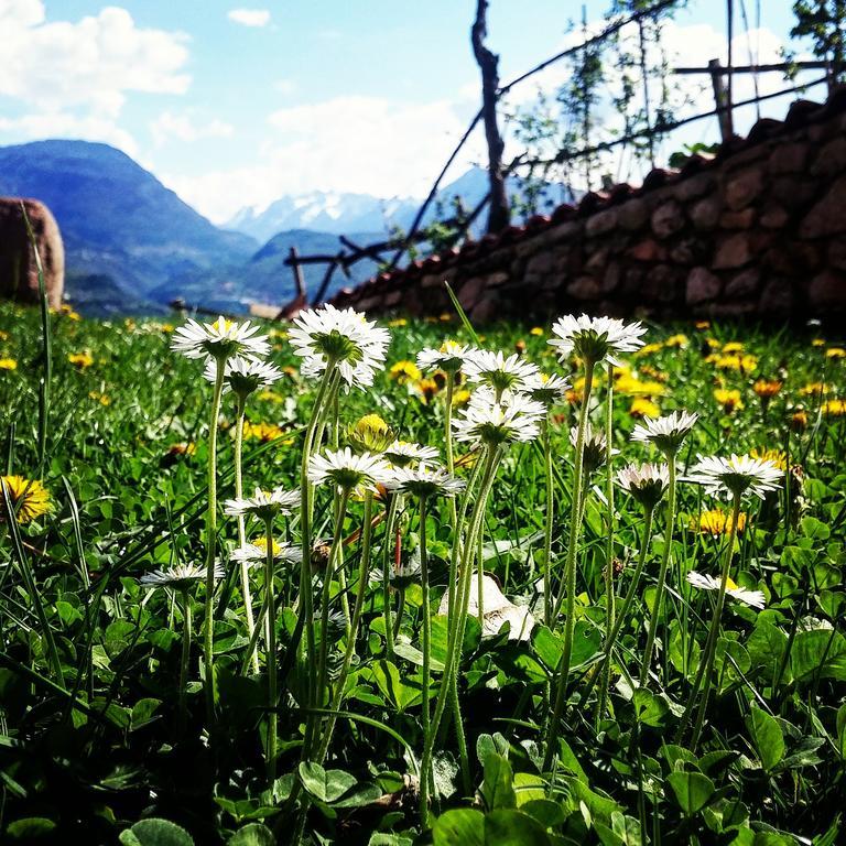 Agritur Maso Spezial Villa Villa Lagarina Dış mekan fotoğraf