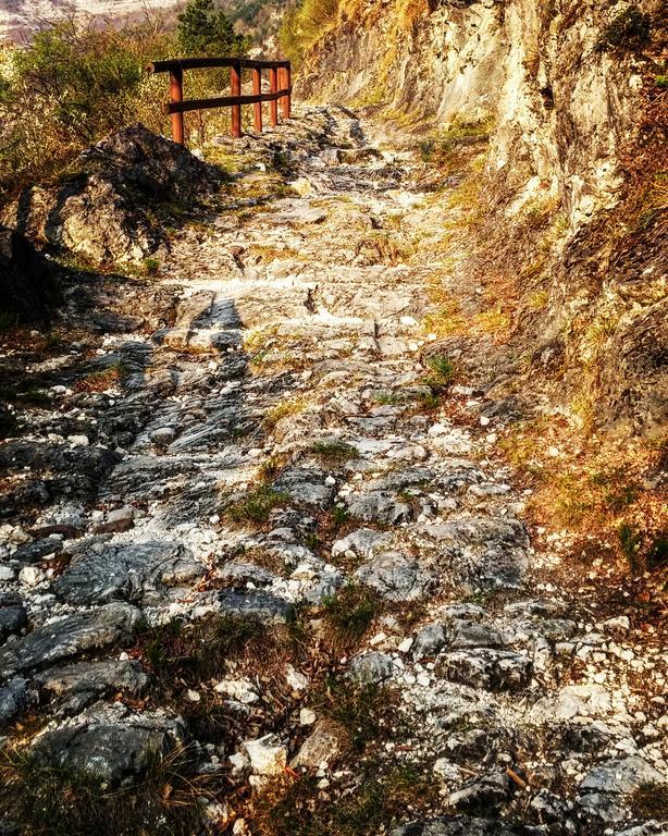 Agritur Maso Spezial Villa Villa Lagarina Dış mekan fotoğraf