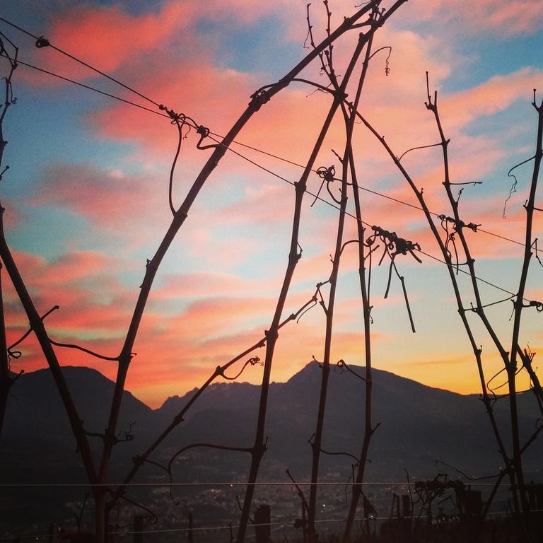 Agritur Maso Spezial Villa Villa Lagarina Dış mekan fotoğraf