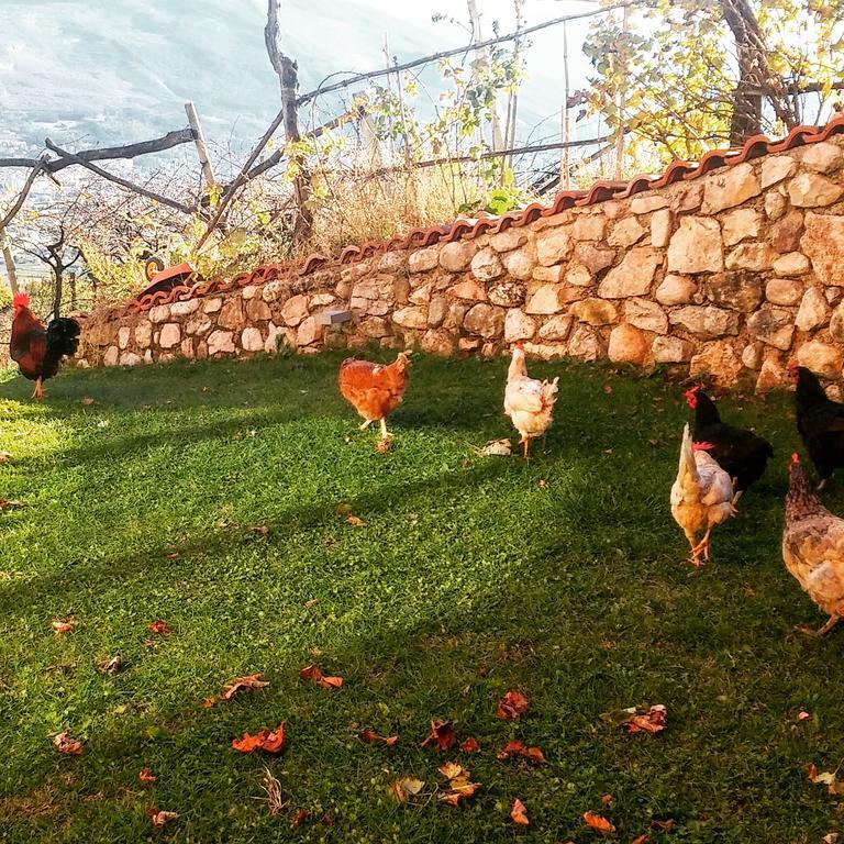 Agritur Maso Spezial Villa Villa Lagarina Dış mekan fotoğraf