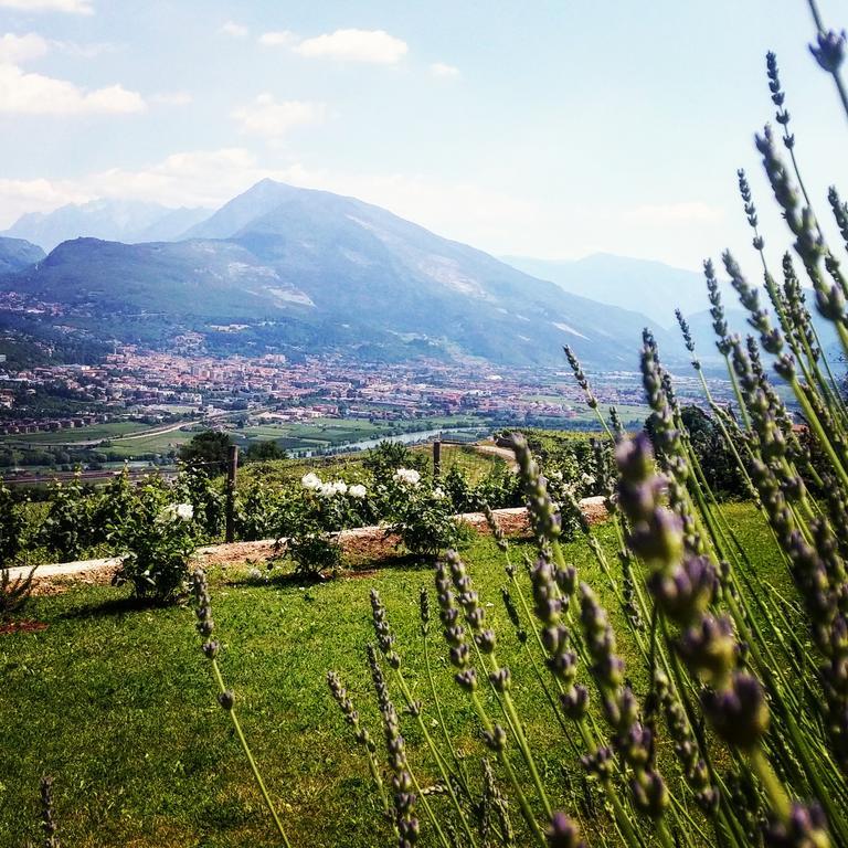 Agritur Maso Spezial Villa Villa Lagarina Dış mekan fotoğraf